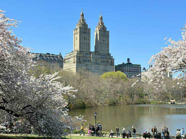 よみがえるセントラルパーク よみがえるセントラルパーク Harlem Meer in Central Park