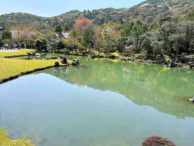 天龍寺の見どころ 京都嵐山の世界遺産 桜の絶景も美しい百花苑と風光