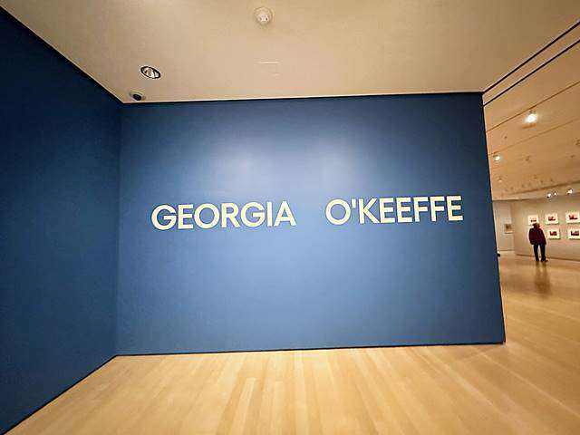 ジョージア・オキーフ アメリカン＆モダン GEORGIA O'KEEFEE B 古書