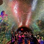 ニューヨーク水族館 癒しの映像！サメのトンネルや光るクラゲ 神秘の世界広がるコニーアイランドの人気アクアリウムを動画で紹介