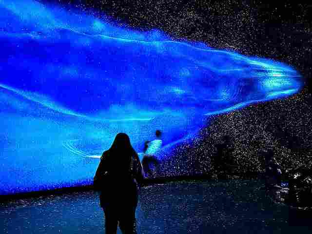 アメリカ自然史博物館 おすすめ最新情報 新しい展示を映像で紹介