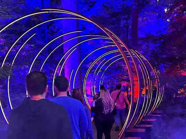 ティム・バートン ナイトメア・ビフォア・クリスマス スノードーム ライトアップ ティム・バートン ナイトメア・ビフォア・クリスマス スノー