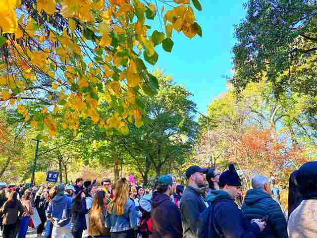 ニューヨークシティマラソン　ウォーマー　ベンチコート自由の女神 ニューヨークシティマラソン！大歓声で大盛り上がりのセントラルパーク