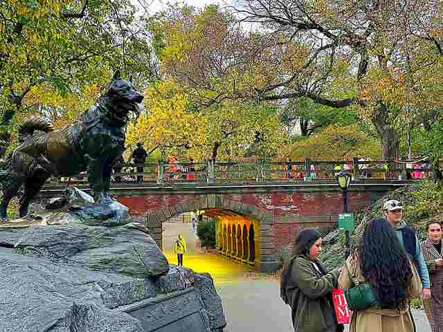 ニューヨークシティマラソン！大歓声で大盛り上がりのセントラルパーク