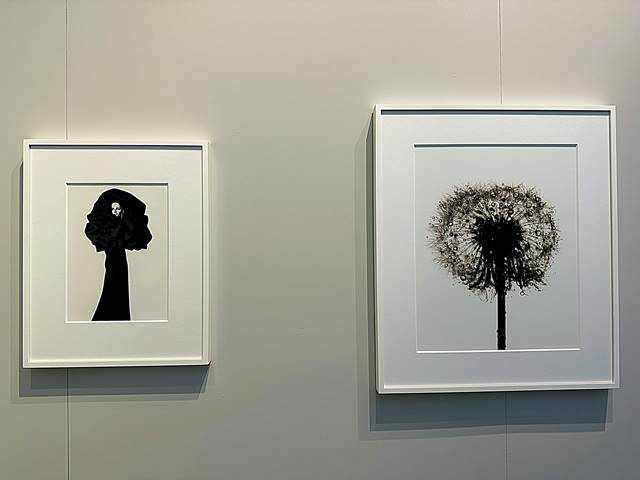 芸術写真 IRVING PENN ニューヨーク アーヴィング・ペンの写真展がおもしろい！Irving Penn