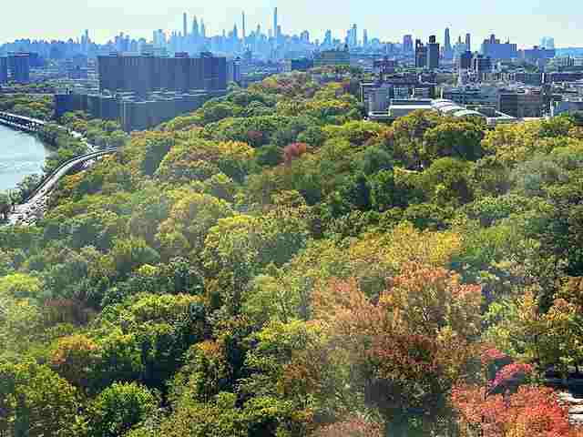 ニューヨーク アッパーマンハッタンの珍しい絶景展望スポットを