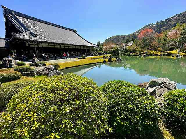 天龍寺の見どころ 京都嵐山の世界遺産 桜の絶景も美しい百花苑と風光