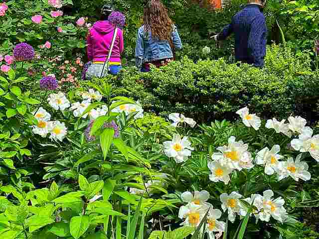 ニューヨーク 美しいバラの秘密の花園 Jefferson Market Garden