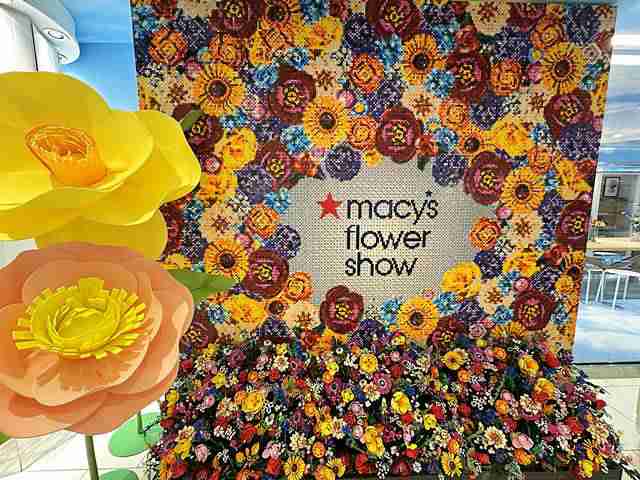 Mayflower Research メイフラワー ザ・メイフラワー裸苗 - The Mayflower (Austilly) – David