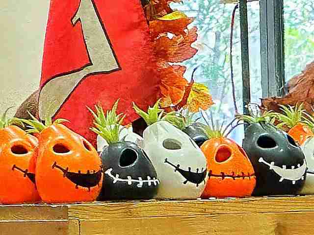 USA大人気トレジョハロウィン限定含むミニトート8枚セットトレーダージョーズ 2025年10月】トレジョ ハロウィン トートバッグを発売初日に