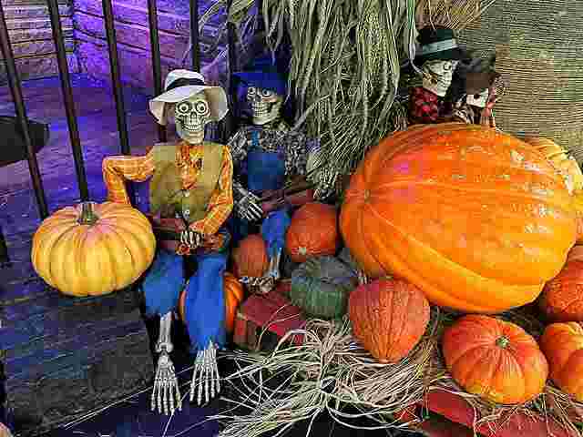 チェルシーマーケットでハロウィンを楽しもう！ - Petite New York