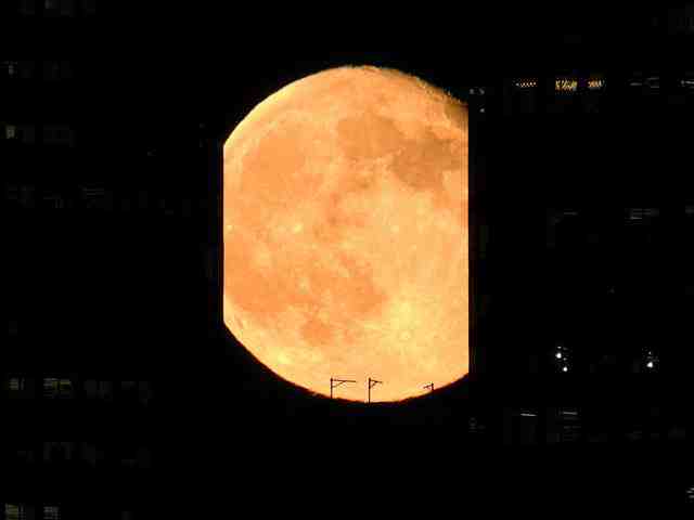 お正月値下げ ニューヨーク マンハッタン 5個/中身のパズルはすべて未