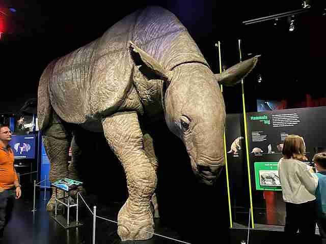 アメリカ自然史博物館の新特別展 巨大隕石の衝突と恐竜絶滅 インパクト