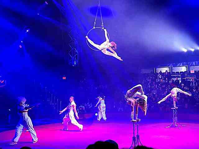 ニューヨークで楽しいホリデーサーカス！サーカスヴァスケス Circus